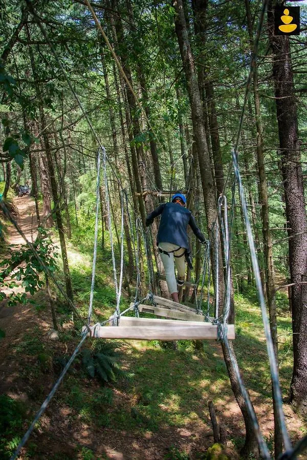 Livingstone Ojuven Treehouses Σίμλα 0*,  Ινδία