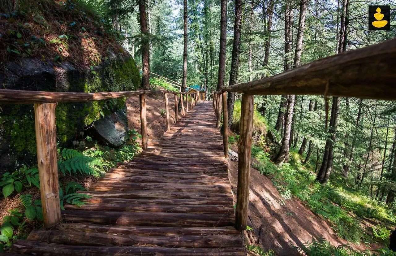 Chalet Livingstone Ojuven Treehouses Shimla India