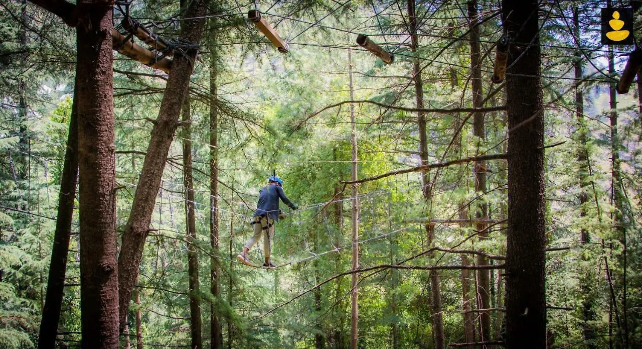 Livingstone Ojuven Treehouses Shimla 0*,  India
