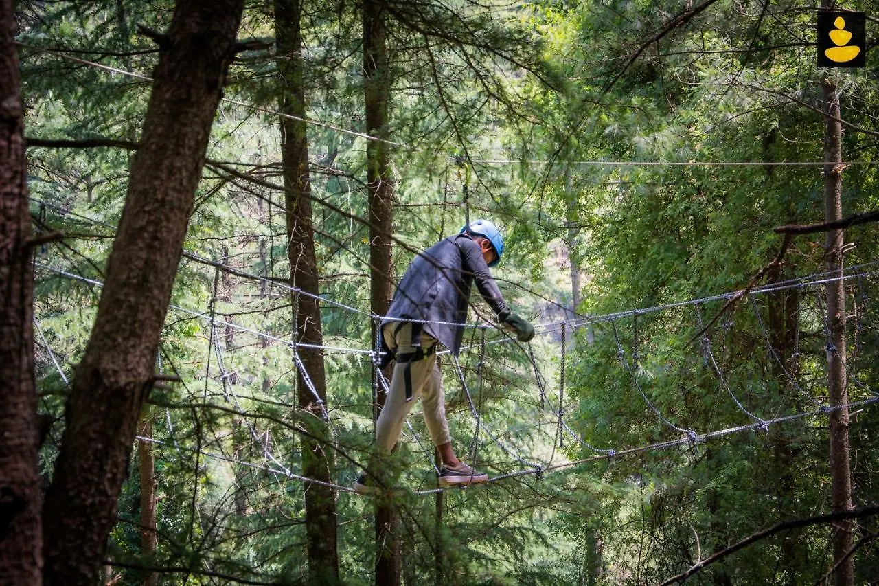 Livingstone Ojuven Treehouses Shimla India